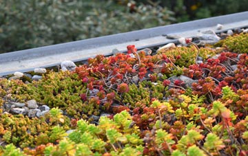 the cost of Brewood green roof installation