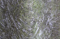 Brewood fibreglass roof work